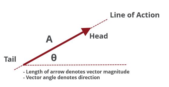 vector-nomenclature